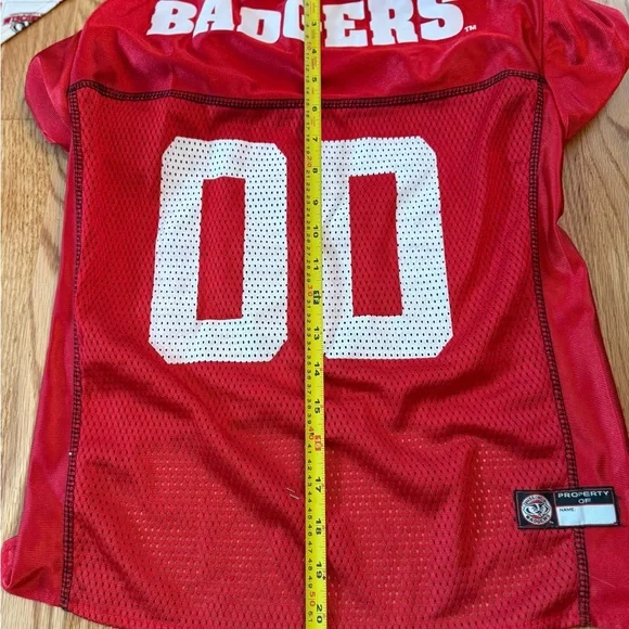 Wisconsin Badger Pet Jerseys And Bandanas Lot College University Badgers Dog - Picture 9 of 13